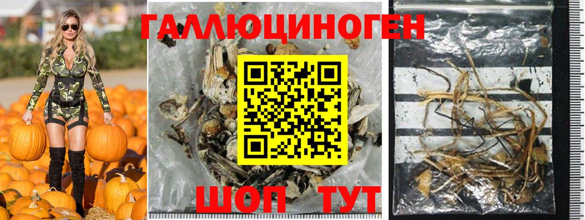 Губкин  Галлюциногенные грибы MAGIC MUSHROOMS  Вход с VPN  Галлюциногенные грибы Magic Shrooms 